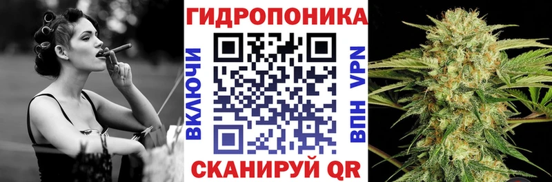 Бошки марихуана OG Kush  Пенза 